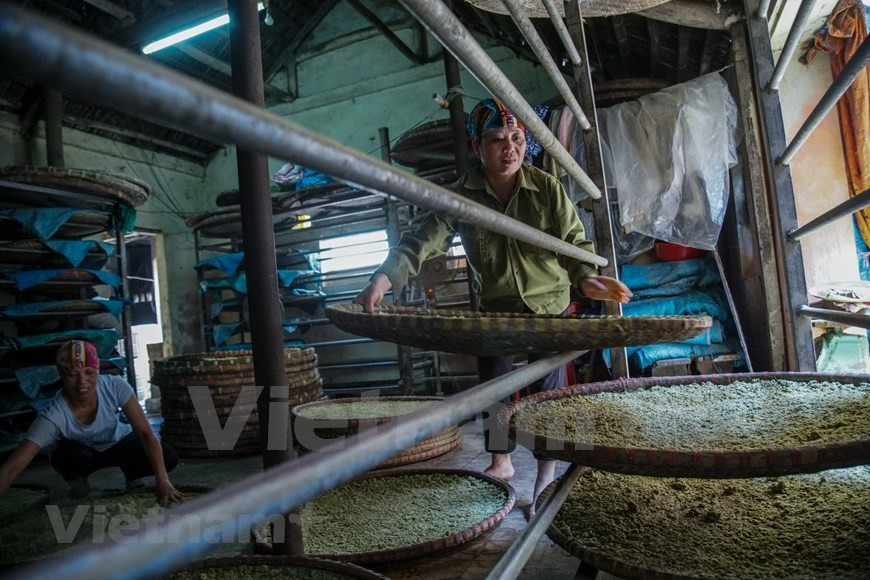 Le soja est ensuite cuit avec du sable à basse température jusqu'à ce qu'il jaunisse avec une odeur douce. Il est alors mis à tremper à nouveau pendant une semaine.