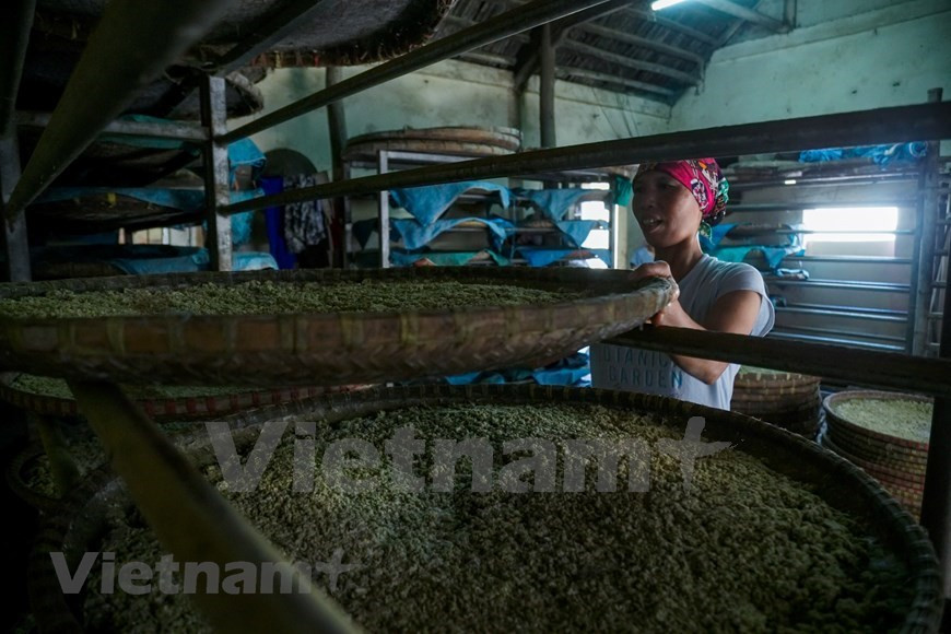 Le principal ingrédient de la sauce est le soja. 