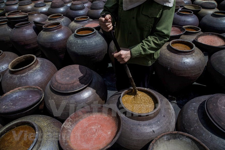 Les feuilles sont ensuite retirées pour laisser les champignons se développer pendant un jour de plus.