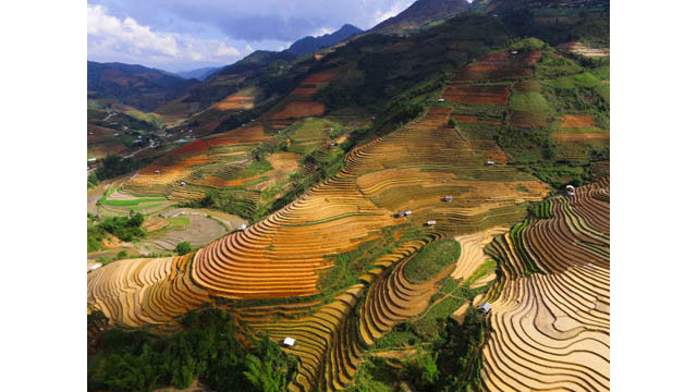 Rizières en terrasse au village de Chê Cu Nha, district de Mù Cang Chai, dans la province de Yên Bai. 