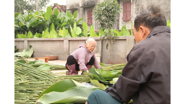 Les feuilles " dong " sont coupées et puis sont classées en rouleau, dont chacun de 100 feuilles. Les rouleaux de grandes feuilles se vendent à 150 000 dôngs chacun.