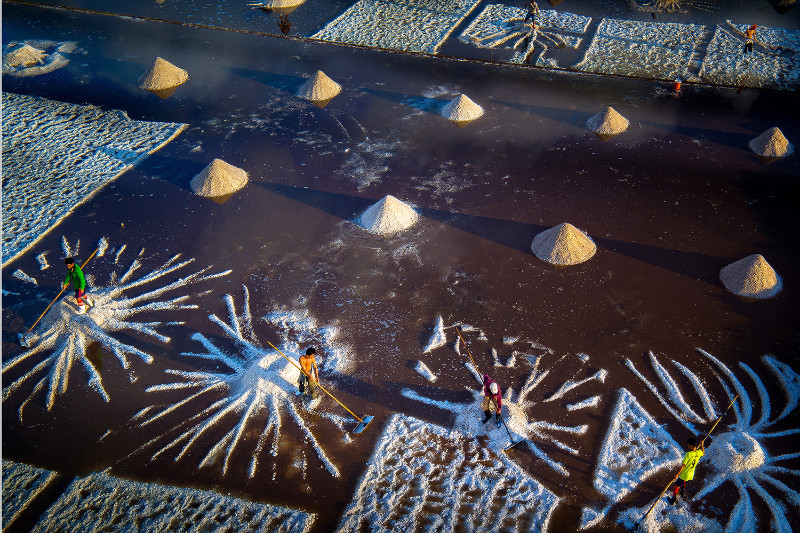 Un champ de sel à Bac Liêu.