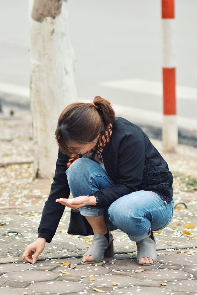 De nombreux Hanoïens et des touristes étrangers profitent de la floraison des fleurs de « sua » pour faire de belles photos souvenir.