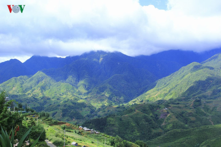 À 1.650 m d’altitude et à 350 km de Hanoi, dans un beau cirque de montagnes parsemé de villages, Sapa est une petite station climatique fondée par les Français en 1922. Les environs de Sapa, avec leurs rizières en terrasses et leurs magnifiques extraits de vie à la campagne, offrent de nombreuses possibilités de randonnées.