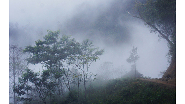 La commune de Hang Dông est attenante aux provinces de Son la et de Yên Bai. Elle a une structure topographique de cuvette et s’appuie contre la réserve naturelle de Tà Xua. Située à une altitude de 2 000 mètres, la commune de Hang Dông possède un climat frais toute l’année, avec des montagnes majestueuses couvertes par de nuages blancs.