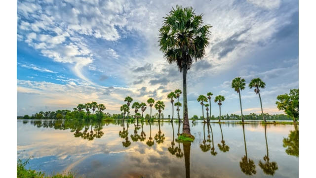 Aube pleine de couleurs d’une région submergée dans le Delta du Mékong. Photo : http://danviet.vn/du-lich
