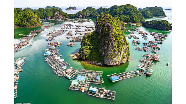 Village de pêcheurs flottant et îlots calcaires en baie de Lan Ha, qui abrite 200 espèces de poissons.