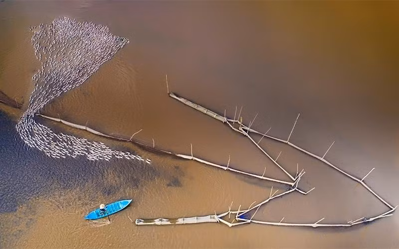  La saison des crues est une période spéciale de l’année dans le Delta du Mékong qui se déroule annuellement du septième au dixième mois lunaire. 
