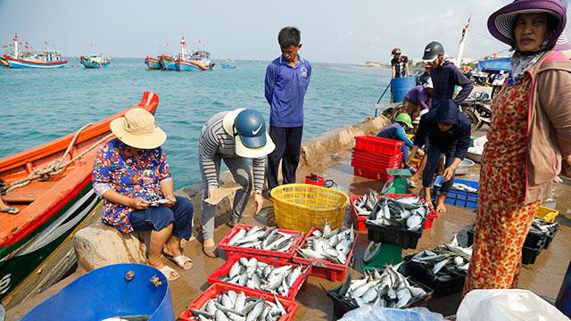 Achat direct des fruits de mer dans le port.