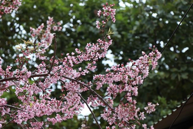 A cette époque, toute la région semble avoir un nouveau manteau.