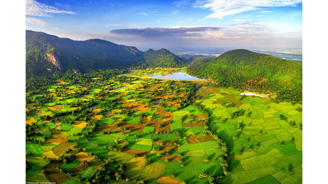Ces rizières se trouvent près du delta de Mékong, au bourg de Tri Tôn, province d’An Giang (Sud).