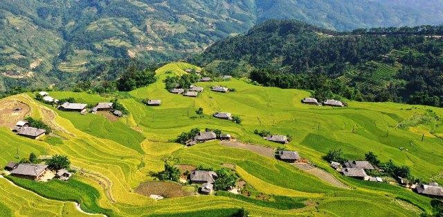 La saison du riz mûrissant a commencé, faisant de Hoàng Su Phi une destination de choix pour les touristes.
