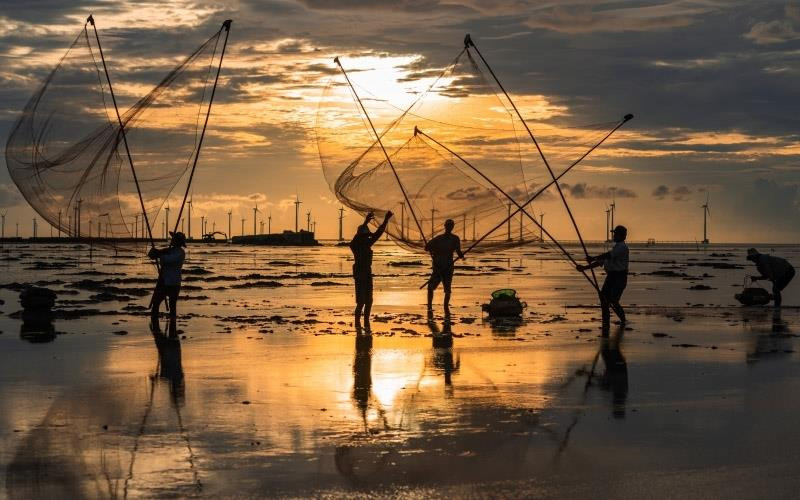 Pêche de crabes et de poisson à l'aube. Au loin le champ éolien de Bac Liêu. Photo : Jimmy Hoài.