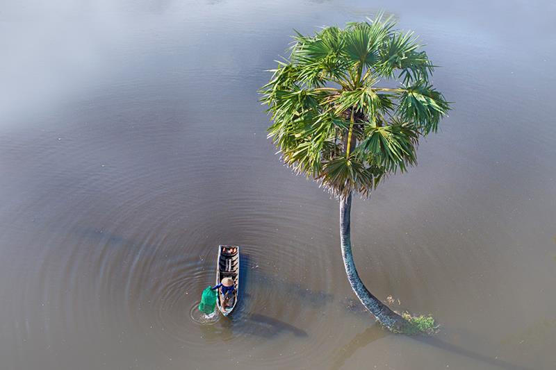 Ces photos ont été prises par Hoàng Bich Nhung, originaire de Hô Chi Minh-Ville, et soumises au concours de photo « Ve dep Viêt Nam » (Le charme du Vietnam), lancé par le Journal Nhân Dân (Le Peuple).