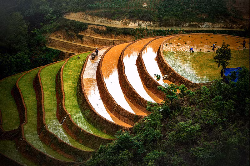 Les ondes de la montagne.