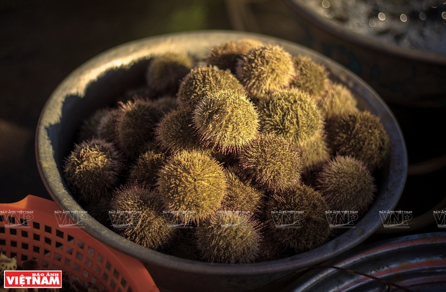 Des oursins à vendre. Photo : VNP
