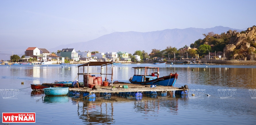 En plus d'attraper les poissons de la lagune, les habitants investissent également dans la pisciculture en radeaux pour élever crevettes, crabes, huîtres, escargots et poissons. Photo : VNP