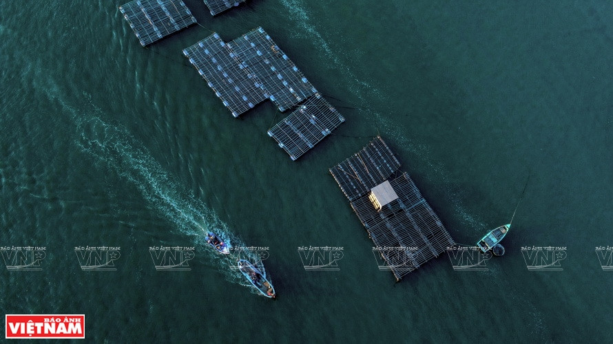 Les habitants exercent la pisciculture en radeaux. Photo : VNP