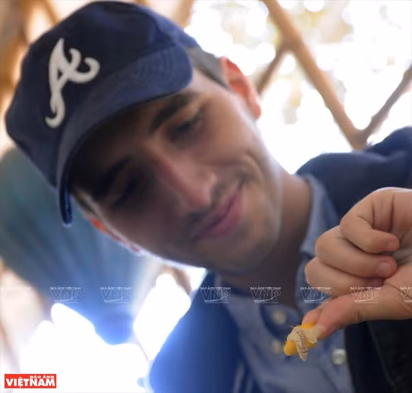 Un touriste étranger observe avec intérêt le processus selon lequel la chenille ou ver à soie du bombyx du murier produit des cocons. Photo : VNP
