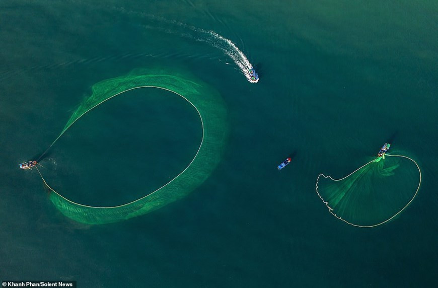 Les pêcheurs déterminent le matin l’emplacement où ils vont lâcher les filets dans les eaux de Phu Yên (Centre). Photo : Daily Mail
