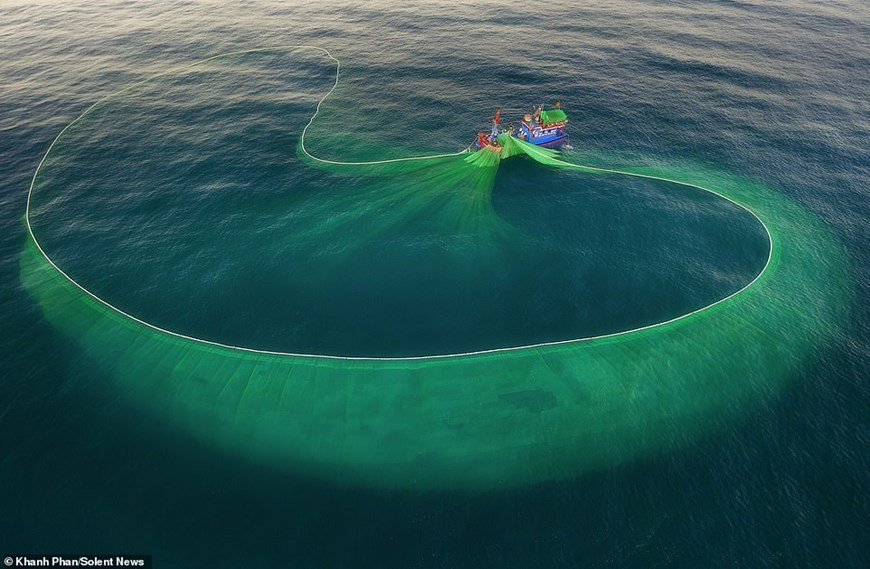 La beauté ineffable de la scène de pêche aux anchois. Photo : Daily Mail