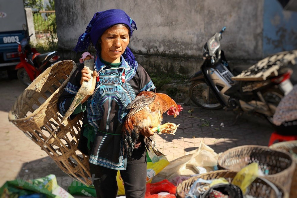 Si vous êtes déjà à Sa Pa, il ne vous reste qu'un petit effort à fournir pour vous rendre à Y Ty dans le district de Bat Xat. Les longues routes sinueuses qui serpentent sur le flanc des montagnes sont un défi à relever pour les motards mais la récompense n'en est que plus grande. Une fois sur place, vous n'avez qu'à profiter de la beauté des paysages et admirer les nuages blancs contraster avec le ciel bleu profond, le vert des forêts sur les montagnes et les récoltes dorées. Sur la route, vous pouvez vous élever au-dessus des nuages qui étaient auparavant suspendus bien plus bas, accrochés à un champ. La vie à Y Ty est tranquille toute l'année, même durant la période la plus touristique de l'année. Photo: VietnamPlus