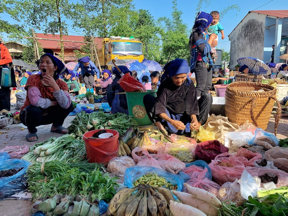 Le marché d'Y Ty, situé dans la commune éponyme du district de Bat Xat, province septentrionale de Lao Cai, fait preuve d'originalité, car vendeurs et acheteurs communiquent dans différentes langues et ne se comprennent presque pas. Ainsi, les transactions se déroulent souvent avec des signes, des sourires et des poignées de mains quand la vente est conclue. Ce marché a lieu tous les samedis. Là se rassemblent des montagnards des ethnies minoritaires Hà Nhi, Dao rouge, Ray et H'mông, qui sont venus des villages alentours. Ce marché commence au petit matin, lorsque les montagnes et forêts sont encore noyées dans la brume. Photo: VietnamPlus