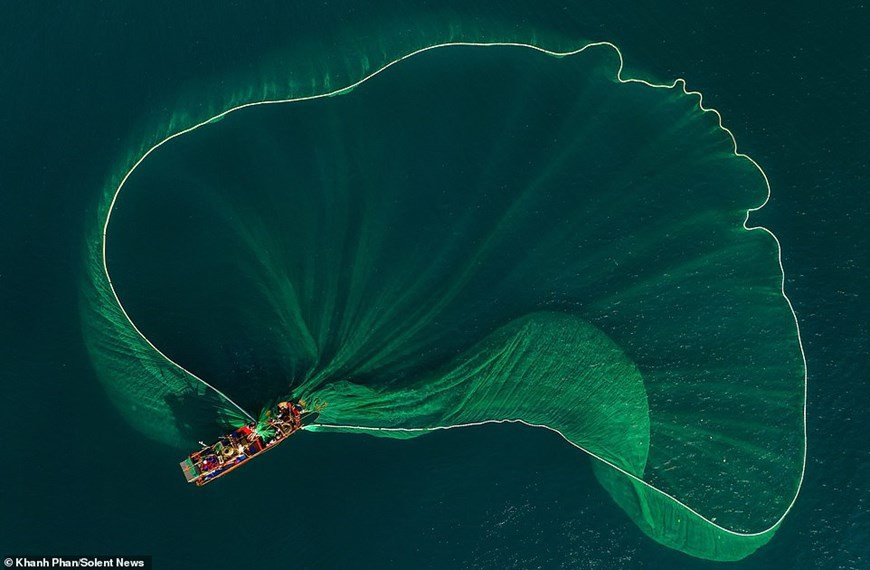 Ce bateau de pêche aux couleurs vives a largué son grand filet dans la mer à An Hai, province de Phú Yên (Centre). Photo: Daily Mail