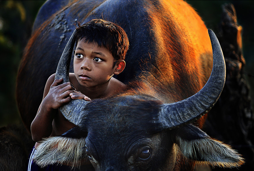 "Trong ánh mắt". (A ses yeux)