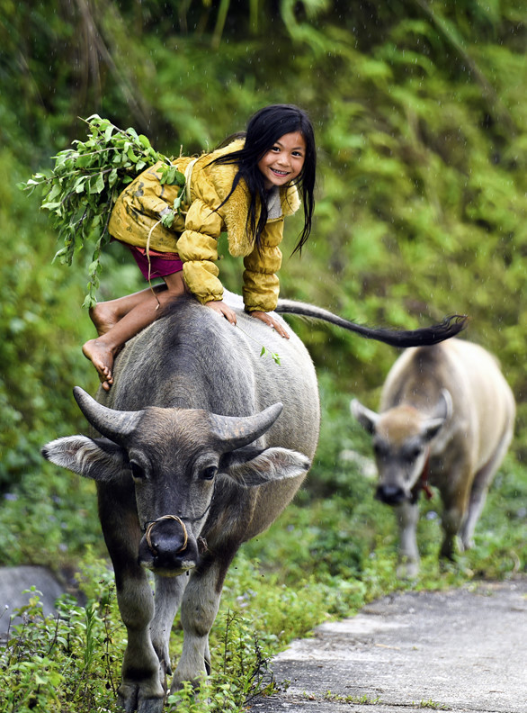 "Mục đồng". (Jeune pasteur)