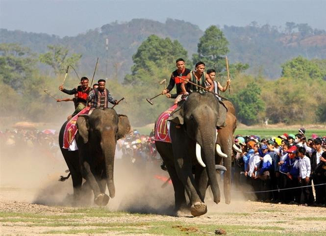 Les courses traditionnelle d'éléphant dans le district de Lak (province de Dak Lak dans les Hauts plateaux du Centre) attirent l'attention des visiteurs et des habitants locaux. Photo: VNA