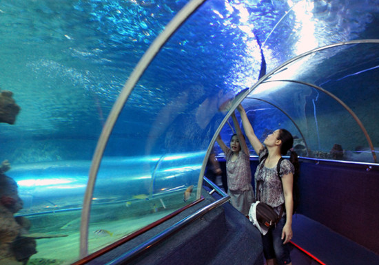 L’aquarium souterrain permet aux visiteurs de découvrir la beauté de l’océan avec ses 6.000 espèces marines.