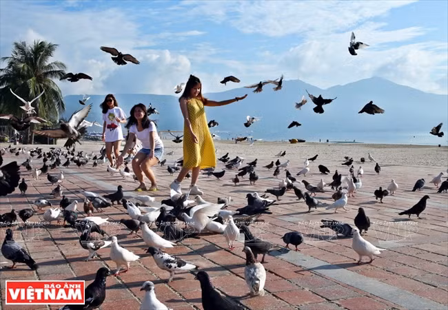 Des touristes s’amusent avec des pigeons au parc Bien Dong.