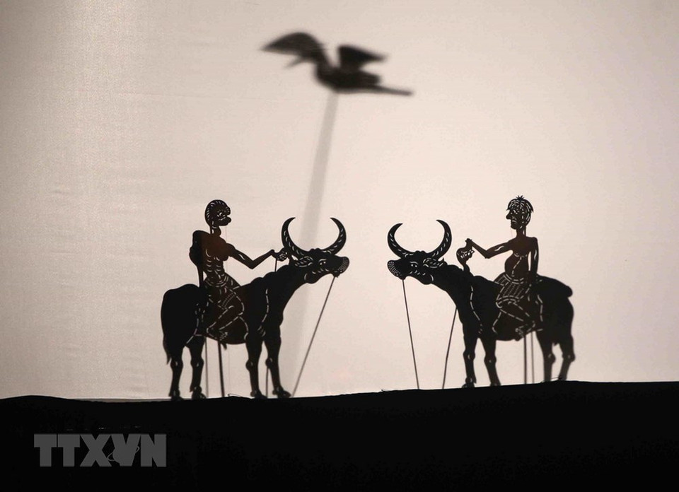 Scène de combat de buffles de la troupe du Cambodge.