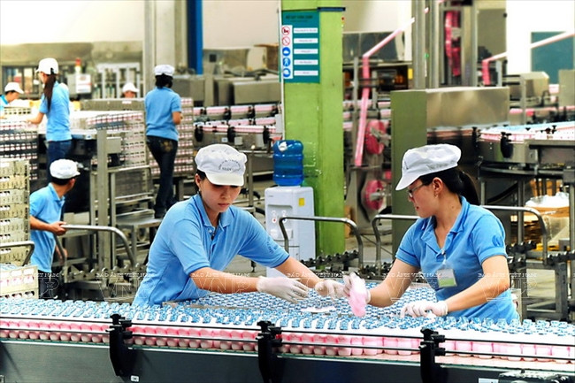 Friesland Campina Vietnam a créé 1.500 emplois.