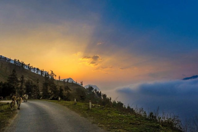 Le col d’Ô Quy Hô a une route longue et sinueuse, sur la Nationale 4D, dont les deux tiers appartiennent au district de Tam Duong, province de Lai Châu, et le tiers restant à Sa Pa, province de Lào Cai.