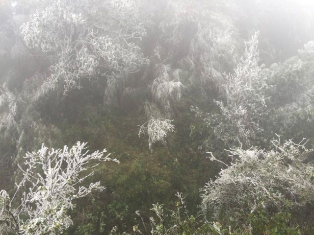 La hauteur de la chaîne de la montagne Hoàng Liên Son sépare deux climats différents entre les deux points de ce col.