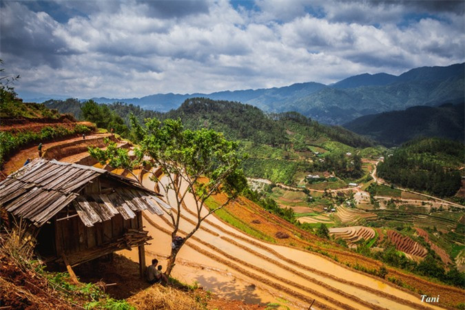 En raison du manque de terrain plat, les H'Mong et Thaï à Mu Cang Chai doivent utiliser les flancs des montagnes pour la riziculture. Ils profitent aussi des premières pluies de l’été et du soleil qui n’est pas intense pour transporter l'eau vers les champs.
