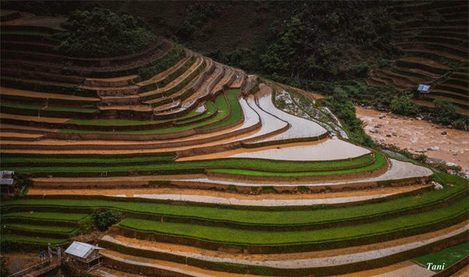 La saison de mise en eau des rizières dure de mai à la fin de juin.