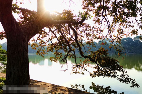 Au bord du lac Hoàn Kiếm à Hanoi.