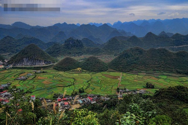 Montagnes entourées de rizières en terrasses à Hà Giang.
