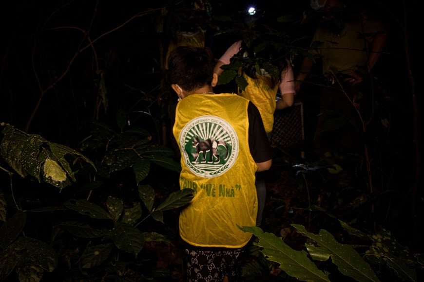 En juillet 2020, le Premier ministre vietnamien a publié une directive sur les solutions d’urgence pour la gestion des animaux sauvages. La fermeture des marchés d’animaux sauvages, soutenue par près de 90% de la population, est une opportunité pour le gouvernement d’éradiquer la capture d’oiseaux sauvages et la déforestation, afin de prévenir les sources d’infection et les risques de futures épidémies. Les résultats du rapport "Covid-19 - un an plus tard" menée par le WWF et GlobeScan, constituent une base importante pour le Vietnam et d’autres pays de la région pour envisager des décisions sur la fermeture des marchés d’animaux sauvages et de protection des forêts. Photo : VietnamPlus