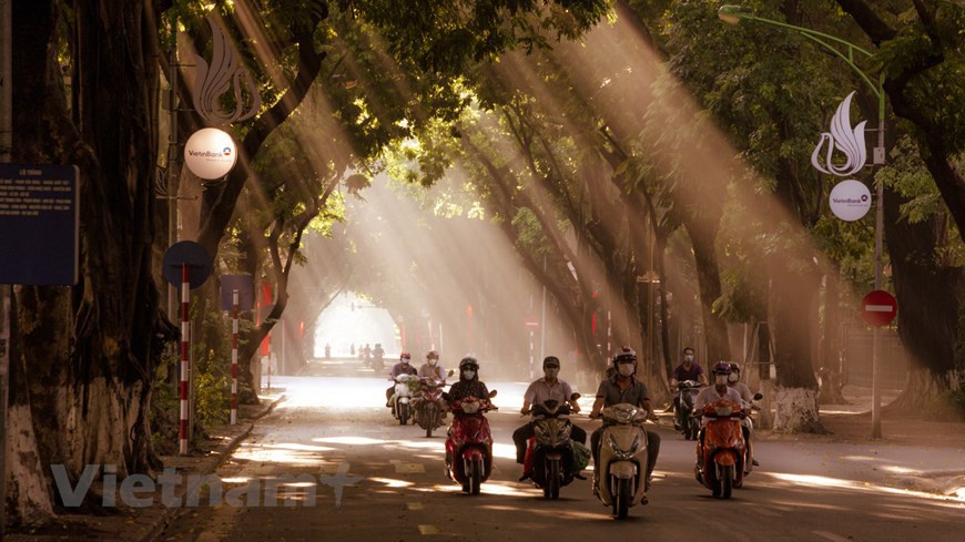 À cette période de l'année, la rue Phan Dinh Phung devient encore plus sublime que jamais grâce à ses rangées d'arbres poétiques et romantiques. Photo: VNA