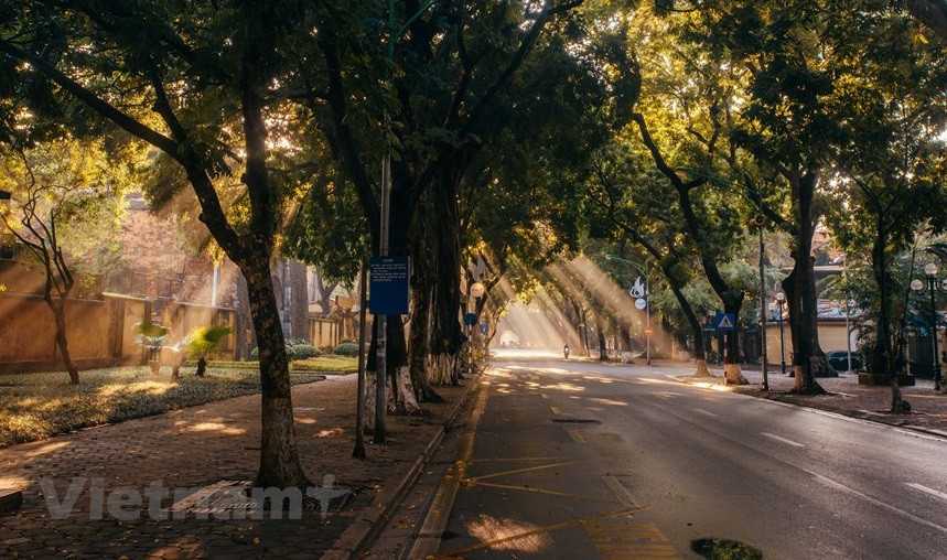 À Hanoï, l'automne est peut-être la période que la plupart des gens attendent avec impatience en raison de son temps frais et ensoleillé. En automne, toutes les rues de Hanoï sont "inondées" des feuilles dorées qui tombent. Photo: VNA
