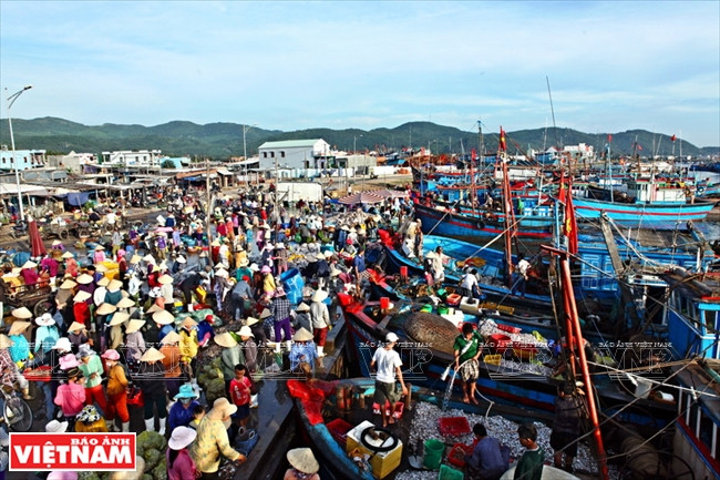 A Quang Ngai, le secteur de la pêche emploie près de 40.000 travailleurs. Plus de 150.600 tonnes de produits halieutiques ont été exploités en 2015.