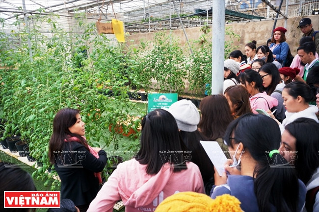 Des étudiants de l’université de Cân Tho visitent le modèle de production agricole high-tech.