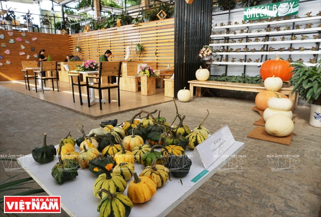 Exposition des variétés de courges.