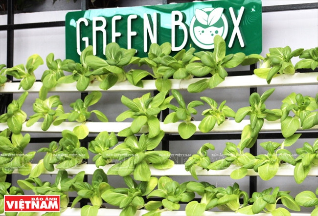 Des pots à l’intérieur de Green Box.