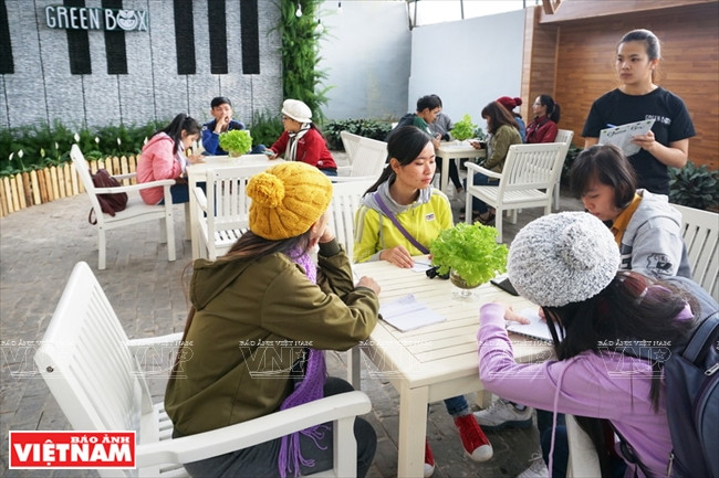 Des touristes vont déguster des jus de fruits pressés.