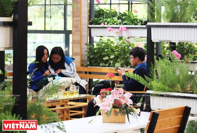 A Green Box, le végétal est roi.